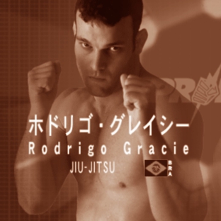 Rodrigo Gracie Jiu-jitsu - Torrance, CA