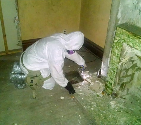 Phoenix Environmental, LLC - Delaware, OH. Asbestos, mold, lead-paint and other environmental inspections