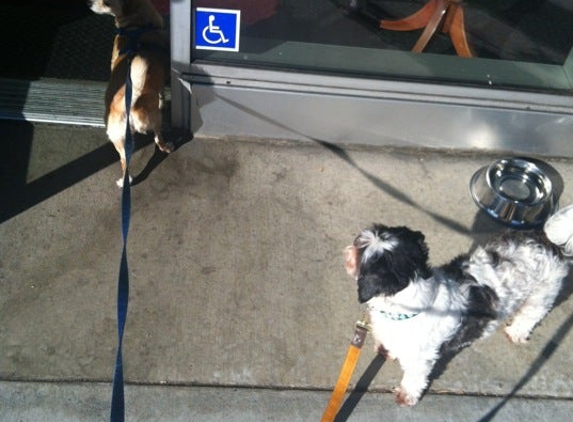 Tailwaggers - West Hollywood, CA