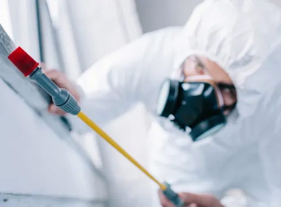 Natural Pest Control Queenslan - Bracken Ridge, QLD