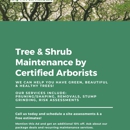 King Tree Services LLC - Arborists