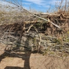 Thacker Skid-Steer Service gallery