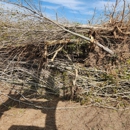 Thacker Skid-Steer Service - Tree Service