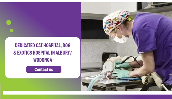 PetFocus Vetcare - Lavington, NSW. Dedicated Cat Hospital, Dog & Exotics Hospital In Albury/ Wodonga