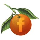 Orange Snowman Jupiter - Web Site Design & Services