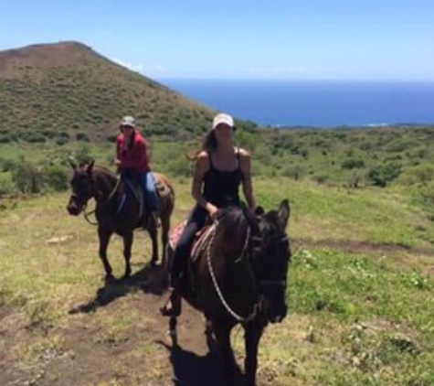 Triple L Ranch Maui Horseback Tours - Kula, HI