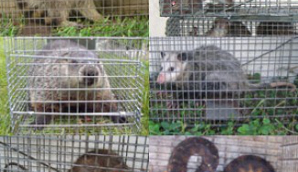 Florida Nuisance Trappers - Palm Bay, FL