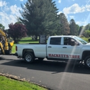 Hackett's Tree Service - Tree Service