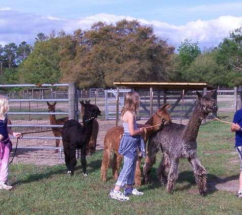 Alpaca Magic USA - Homosassa, FL