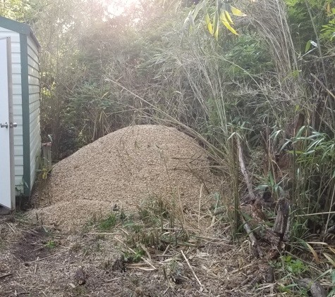 Elite Lawn Maintenance - Albany, GA. Excess gravel taken from the driveway to make it driveable