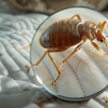 Brothers Pest Management gallery