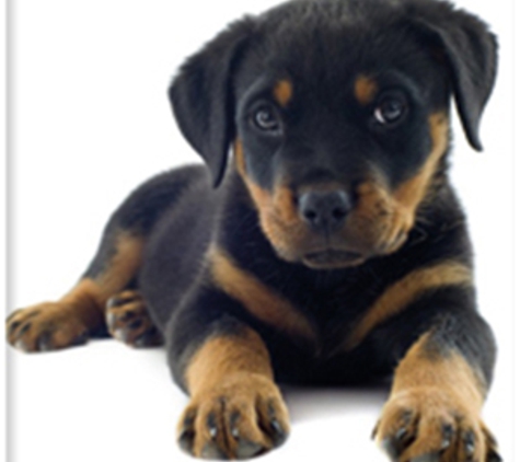 Warners Bay Vet - Warners Bay, NSW