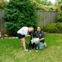 Obedience Dog Training