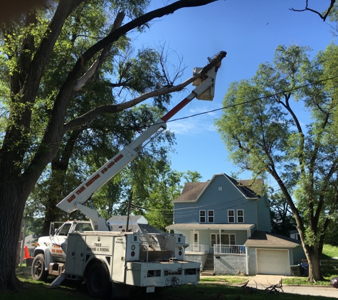 Saw Tree Service - Saint Joseph, MO