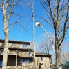 Ideal Tree Service LLC. gallery