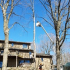 Ideal Tree Service LLC.