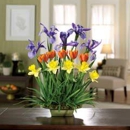 Flowerstogo.com - Flowers, Plants & Trees-Silk, Dried, Etc.-Retail