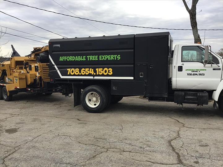 All Affordable Tree Service - Firewood - Randolph, NJ