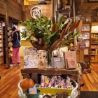 Tao Organic Cafe + Herbery