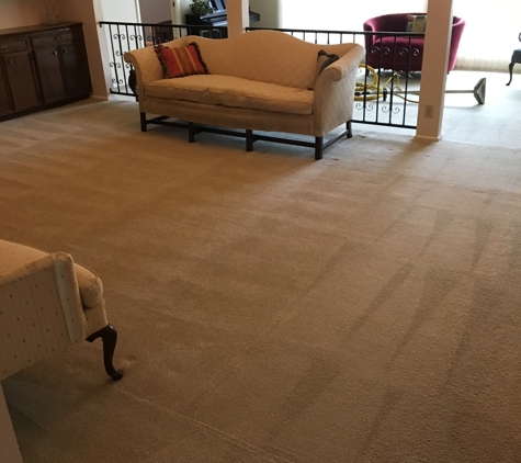 Silver Lining Carpet Care - San Antonio, TX