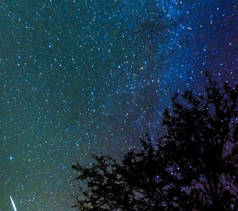 Catalina State Park - Tucson, AZ