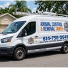 Animal Control & Removal Tampa gallery