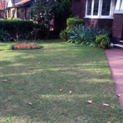 Gallery Image Number 3