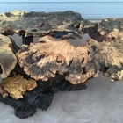 Redwood Burl Company