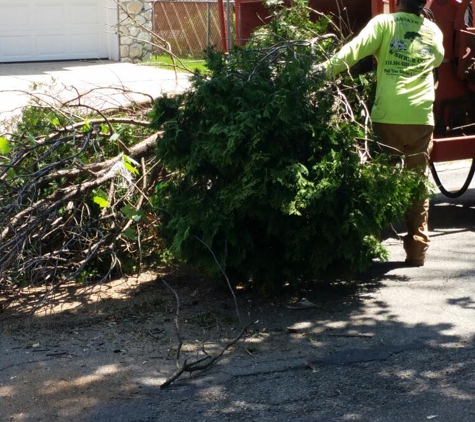 allstate tree & shrub corp - Jersey City, NJ