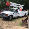 Lobo Tree Service gallery