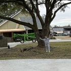 Anthony's Tree and Stump Removal