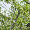 Family Landscape and Tree Service gallery