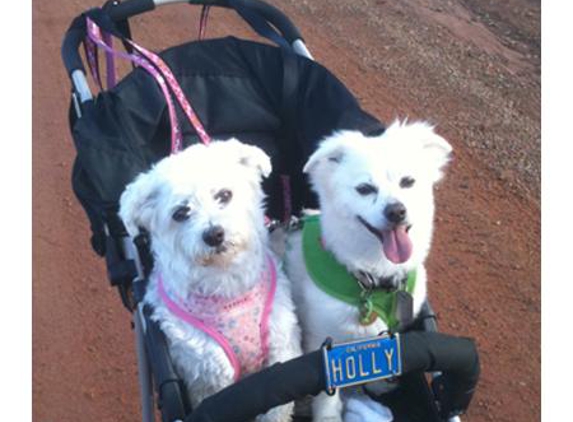 Melton Veterinary Clinic - Melton, VIC