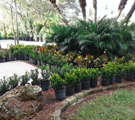 William Landscaping service LLC - Fort Lauderdale, FL