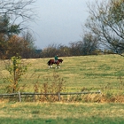 TopLine Equestrian Center