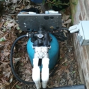 BSI Water Filtration