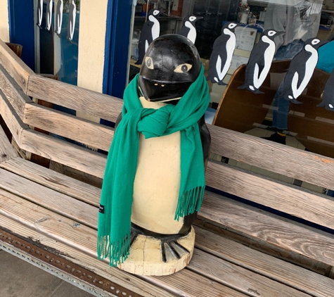 Penguin Cafe - Laguna Beach, CA