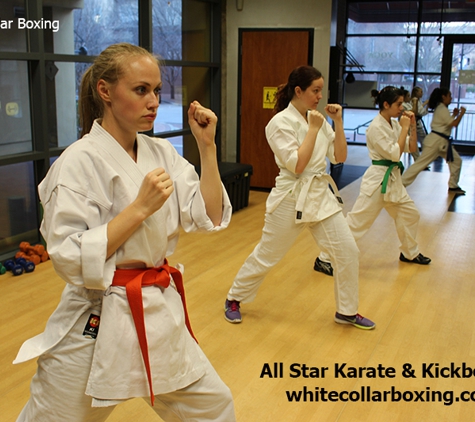 All Star Karate Kickboxing Boxing - Addison, TX