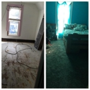 Wholesale Carpets - Floor Materials