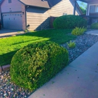 Central Colorado Tree Service