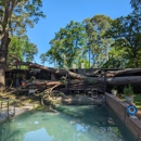 Miller Tree Service, Inc. - Tree Service