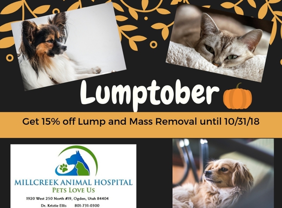 Millcreek Animal Hospital - Ogden - Ogden, UT. October Monthly Special