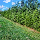 Pryor's Nursery - Landscape Contractors