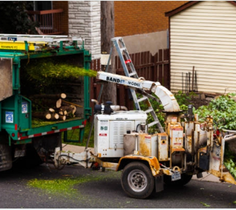 Top Quality Tree Service - Lebanon, TN