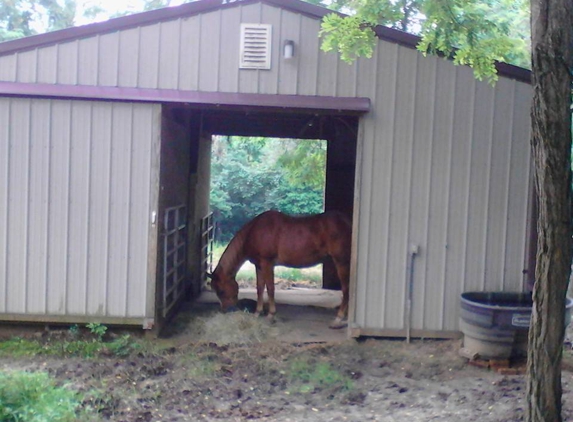 Cincy Cindy's Pet Sitting - Cincinnati, OH