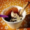 Lolas Frozen Yogurt gallery