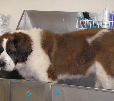 Staunton Dog Wash & Grooming - Staunton, VA