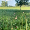 Valley Forge National Historical Park gallery