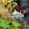 D&D Tree and Landscape Services gallery