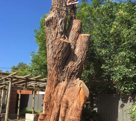 C & S Tree Services - North Nowra, NSW